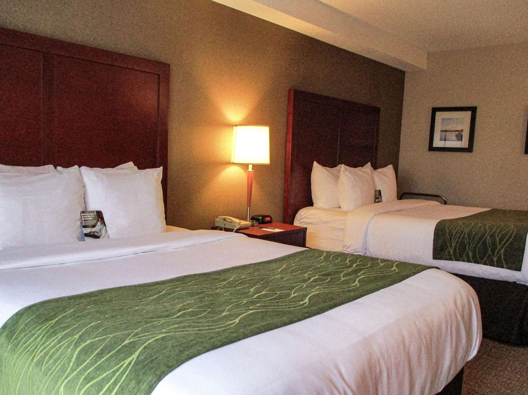 Comfort Inn - Dartmouth主图