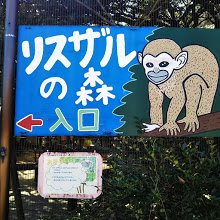 Tokushima Zoo景点图片