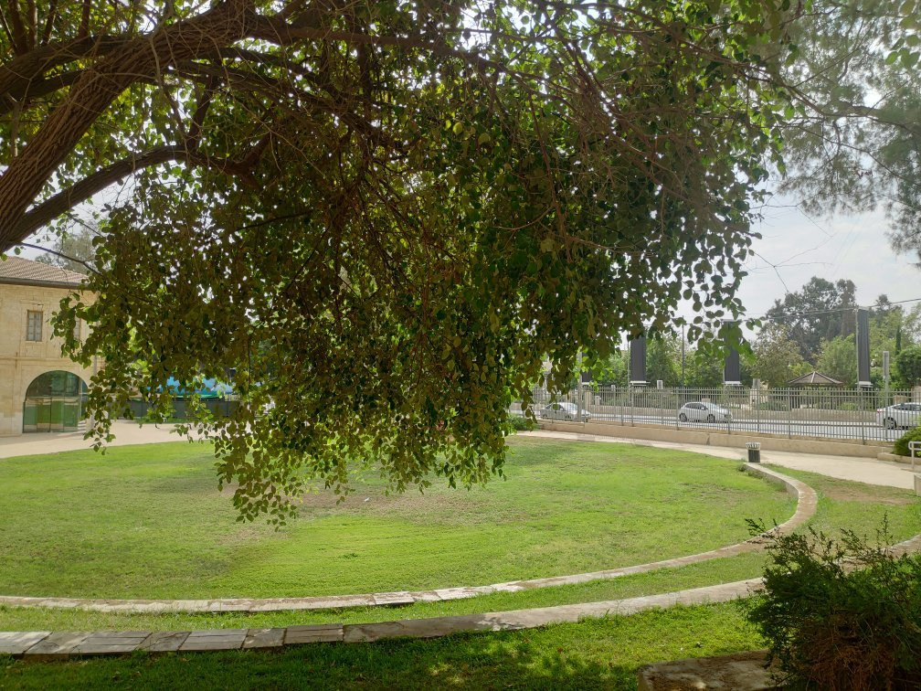 Negev Museum of Art-贝尔谢巴必去景点