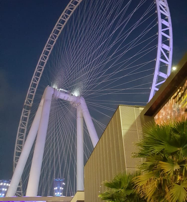 Ain Dubai-迪拜必去景点