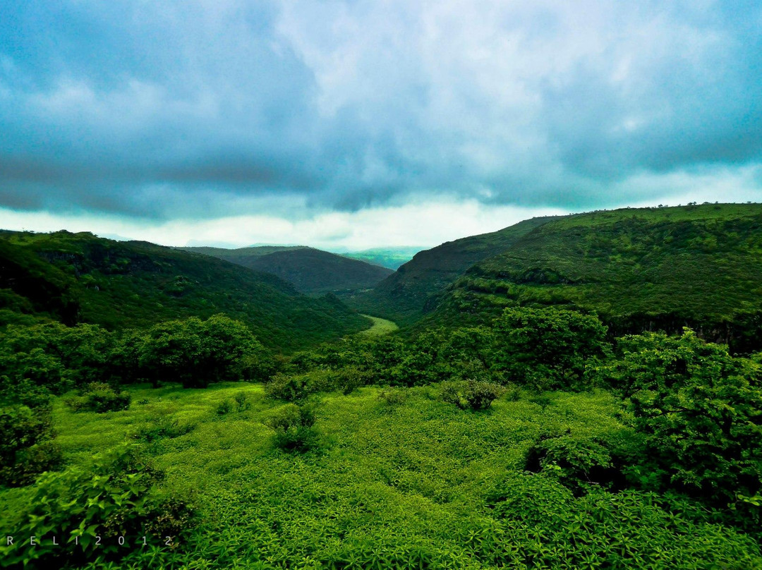 Best Shore Trips Salalah