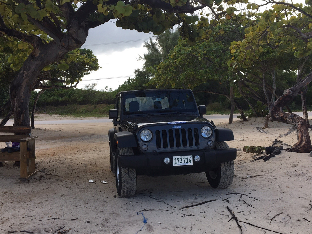 Andy's Rent-a-Car-大开曼岛必去景点