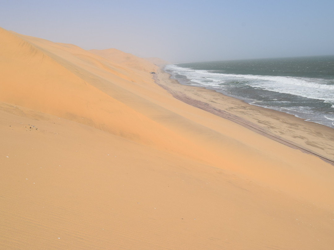 Mola Mola Safaris-华维斯湾必去景点