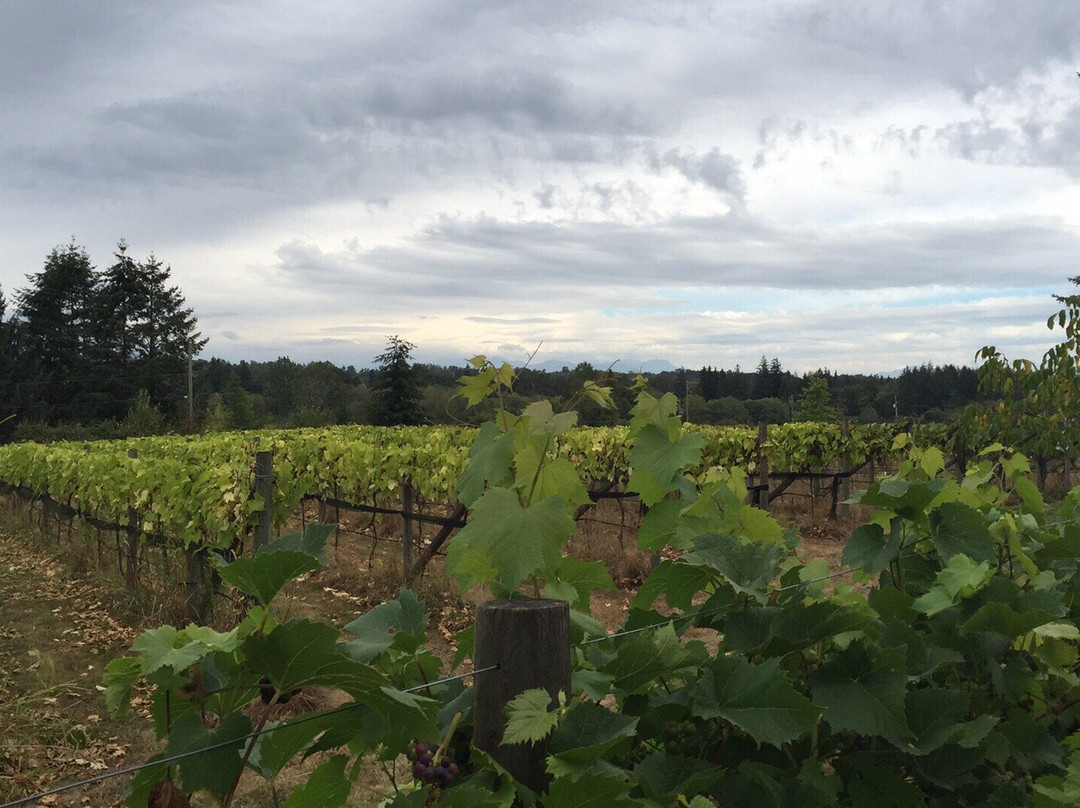 Township 7 Vineyards & Winery (South Langley)景点图片