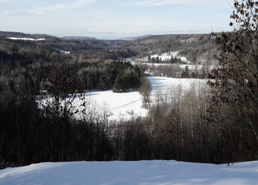 Ski Montagne Coupée