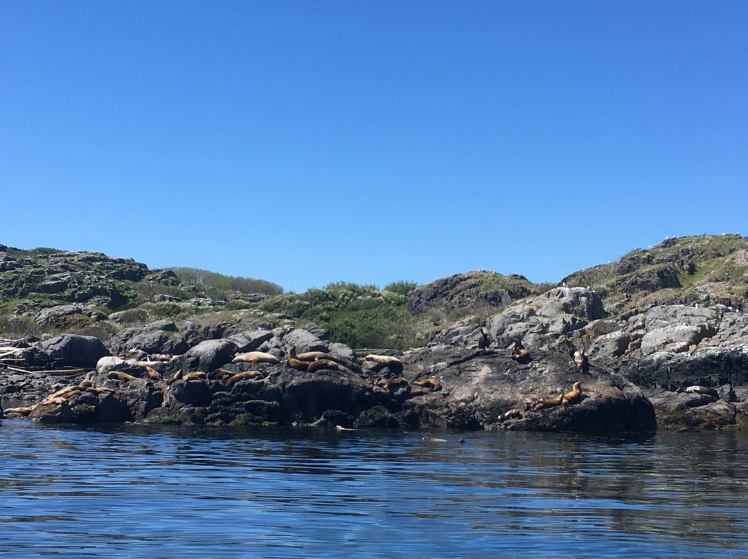 BC Fishing Charters-坎贝尔里弗必去景点