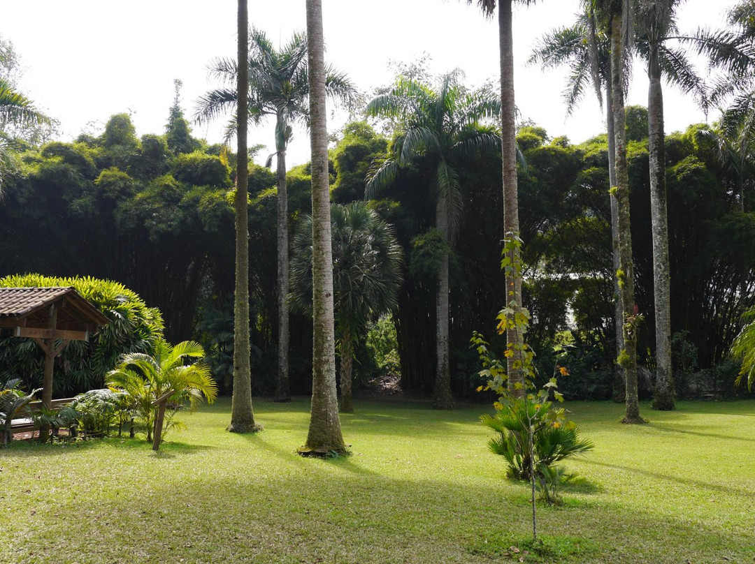 Jardin Botanico Francisco Javier Clavijero景点图片