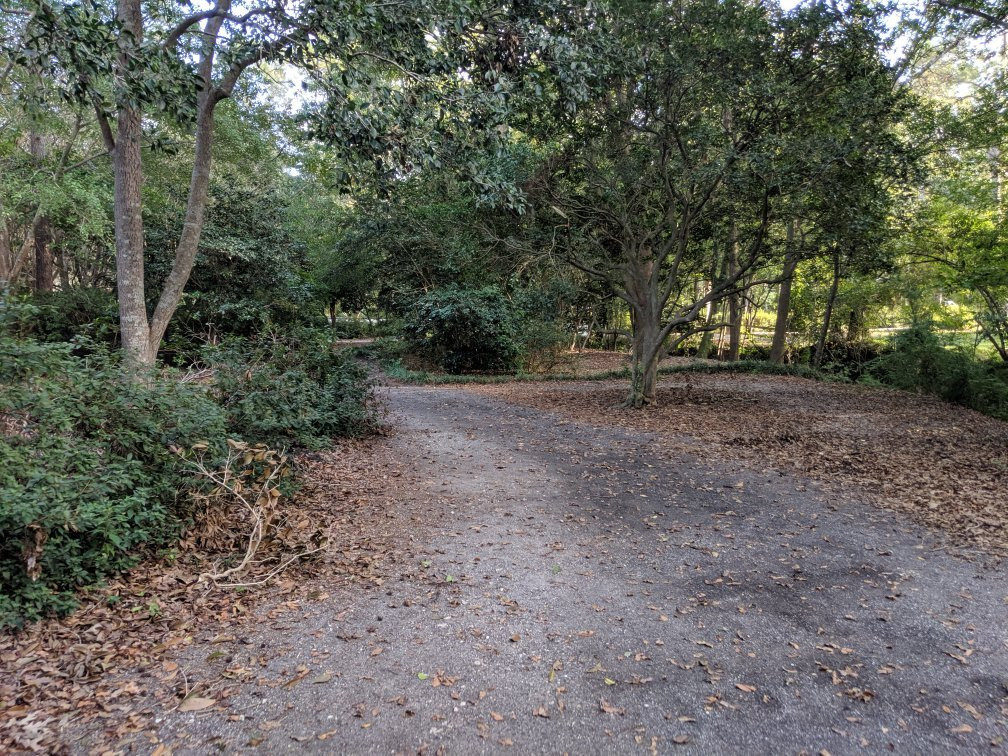 Azalea Park & Sculpture Garden景点图片