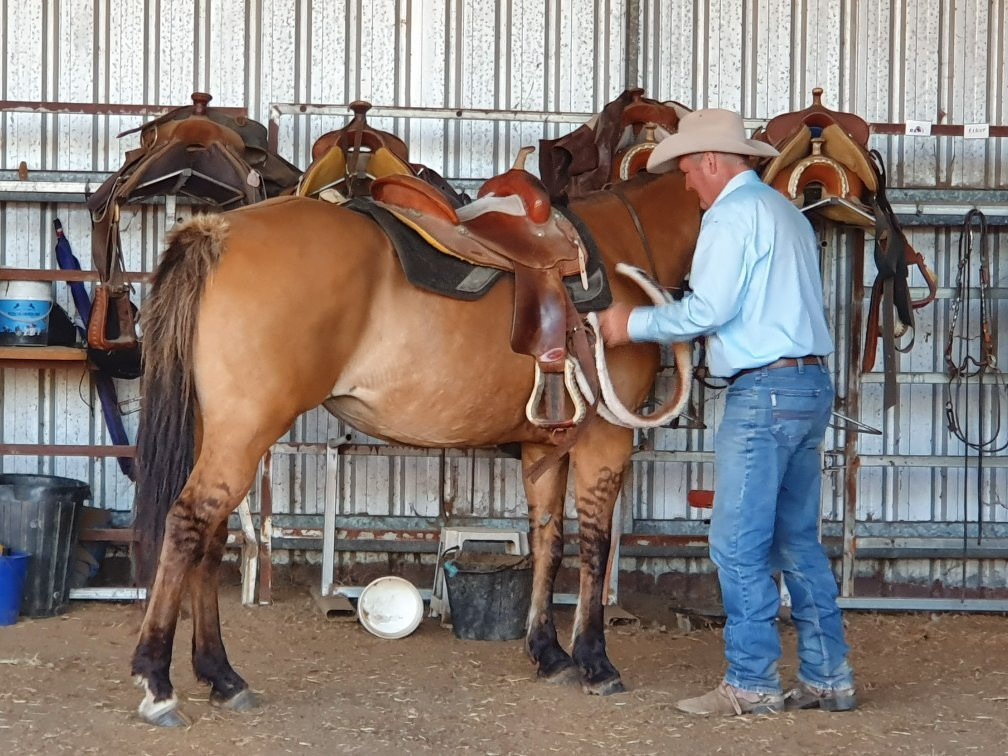 Cowboy Up Trail Riding-Emu Creek必去景点