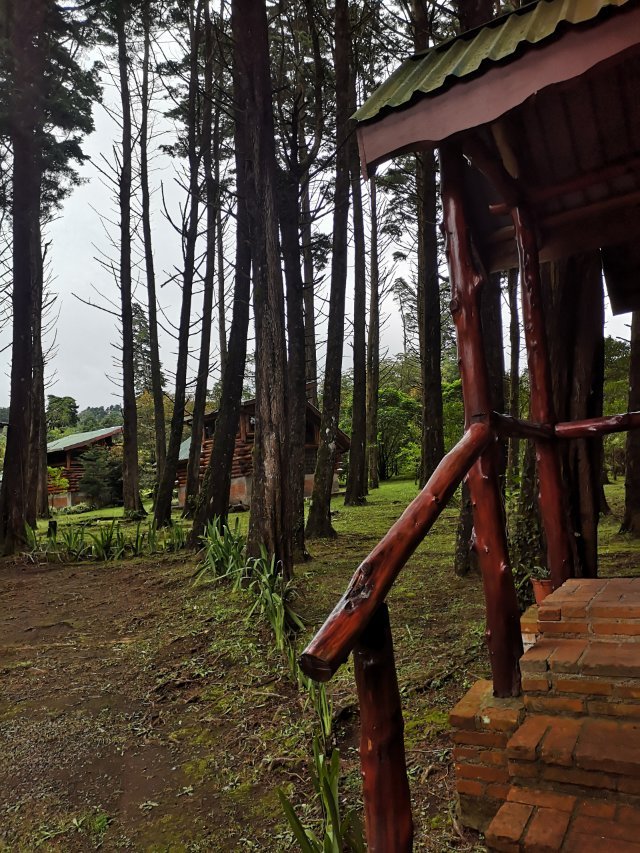 Cabañas Las Ardillas-官方