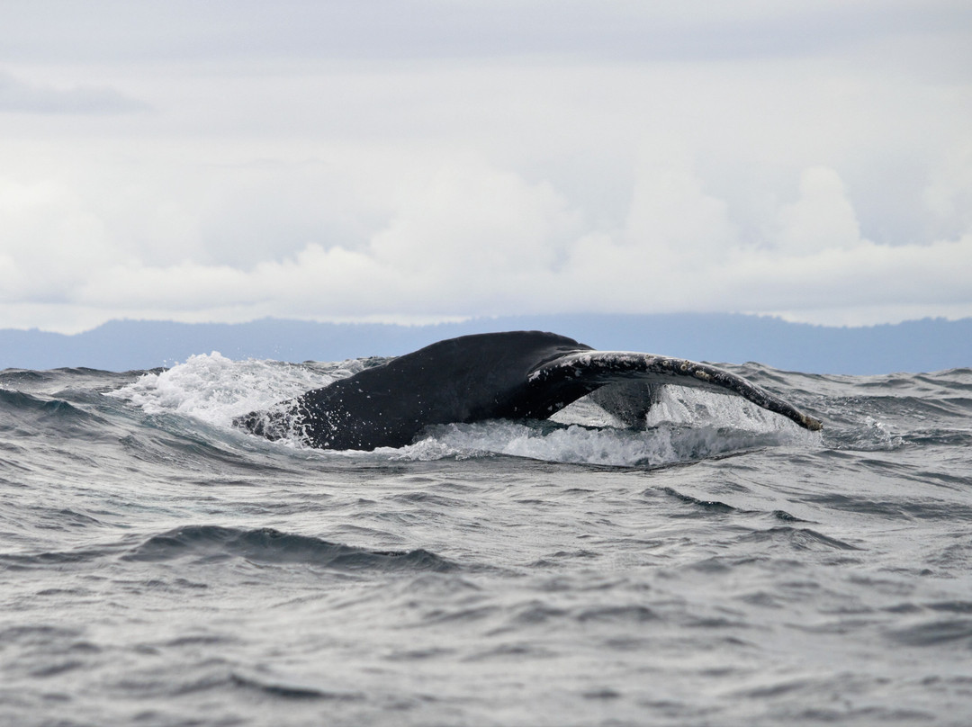 Piedra Piedra Lodge主图