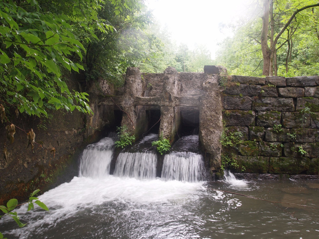 Charlie Major Nature Trail景点图片