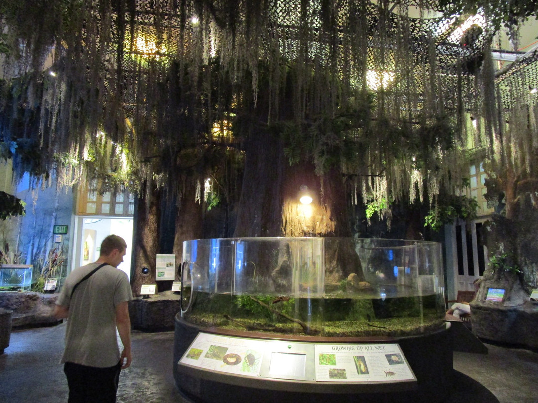 奥杜邦昆虫博物馆