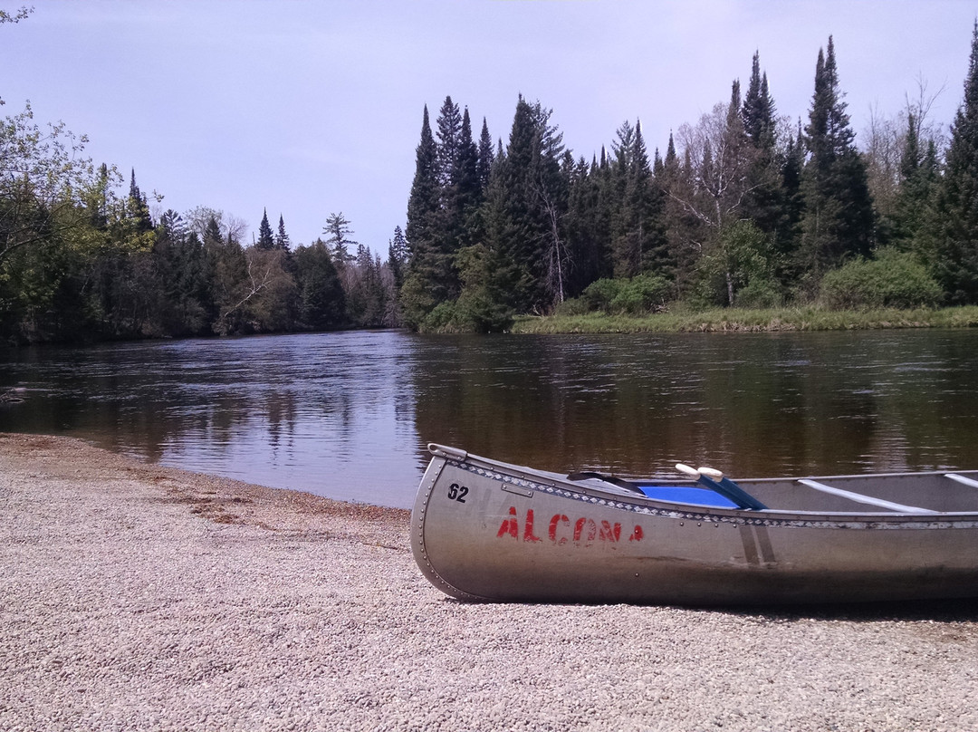 Alcona Canoe Rental景点图片