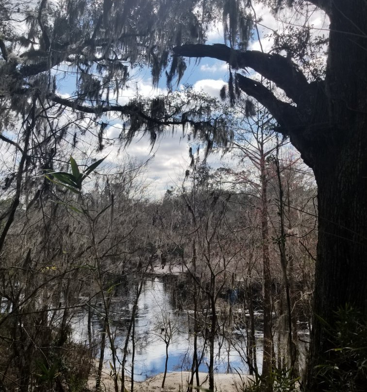 Okefenokee Heritage Center