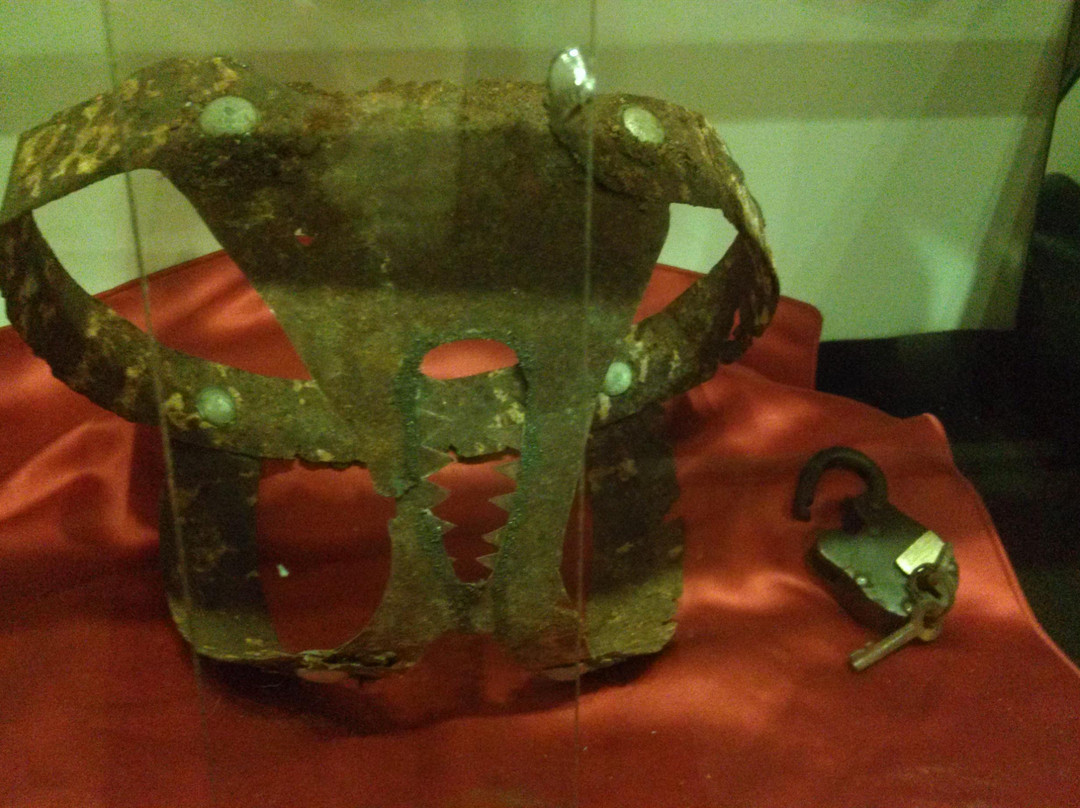 奥尔顿塔旅游景点-Curiosity Museum