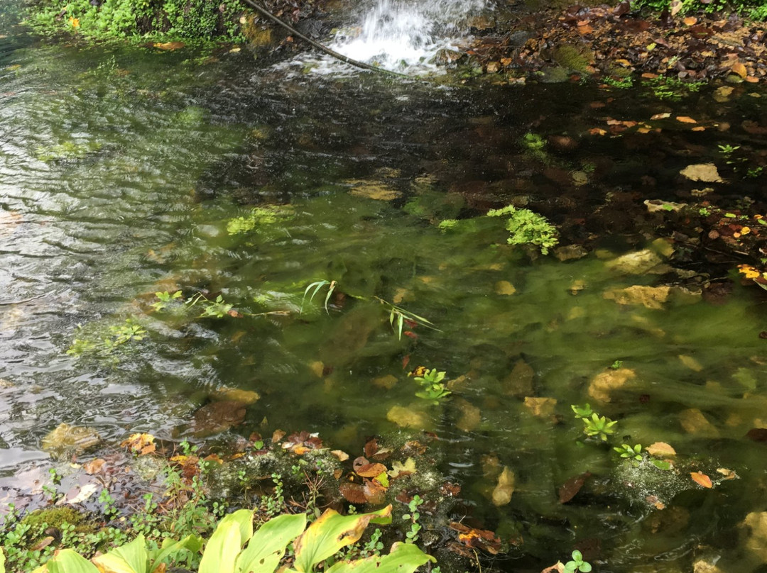 Paradise Cove Artesian Well Park-Winslow必去景点