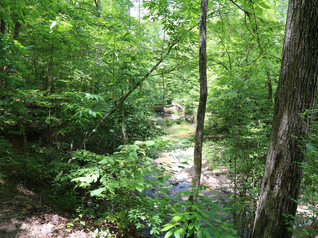 Pickett's Mill Battlefield