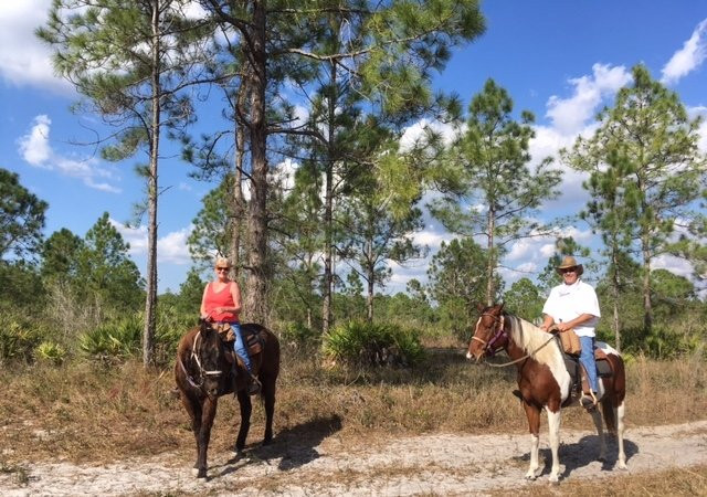 Five Star Stables-Lehigh Acres必去景点