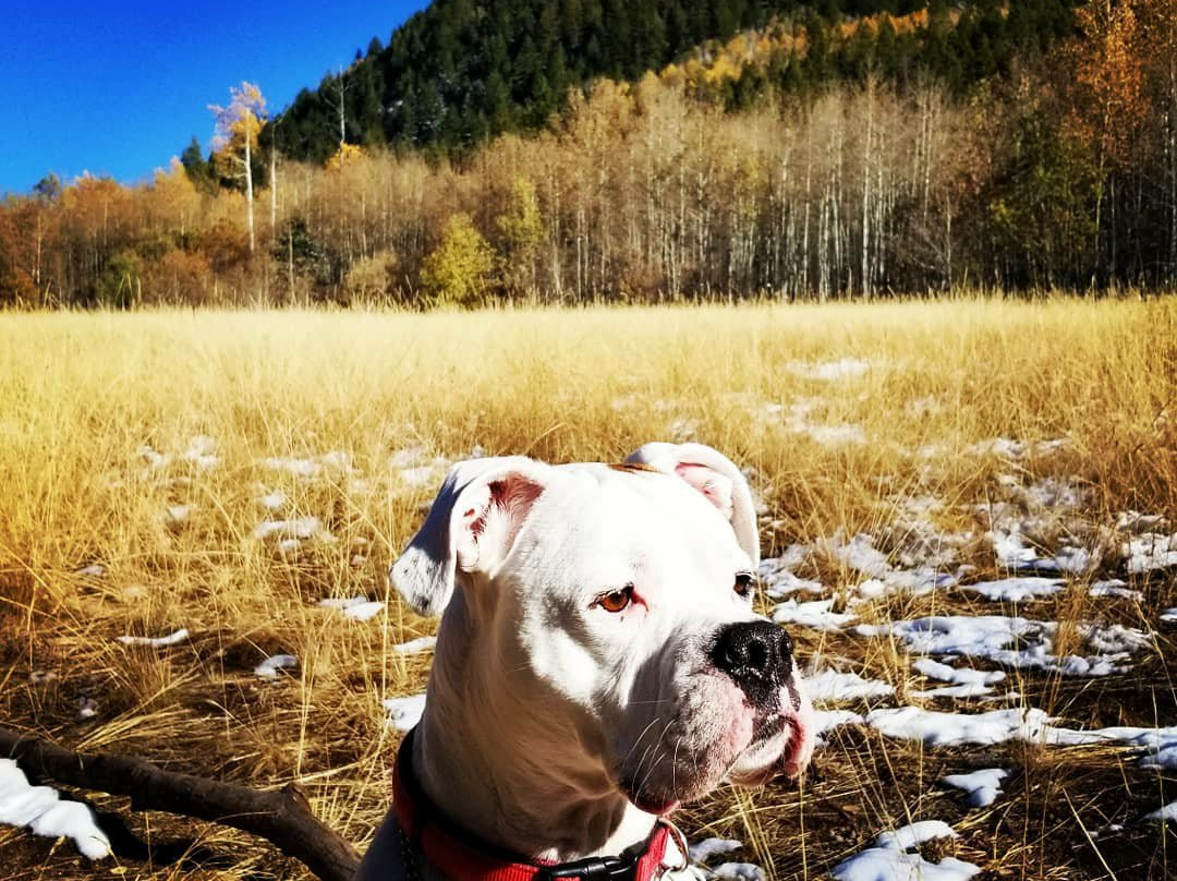 Hunter Creek Trail-阿斯蓬必去景点