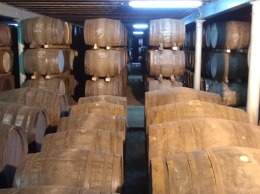 The Singleton Distillery-Muir of Ord必去景点