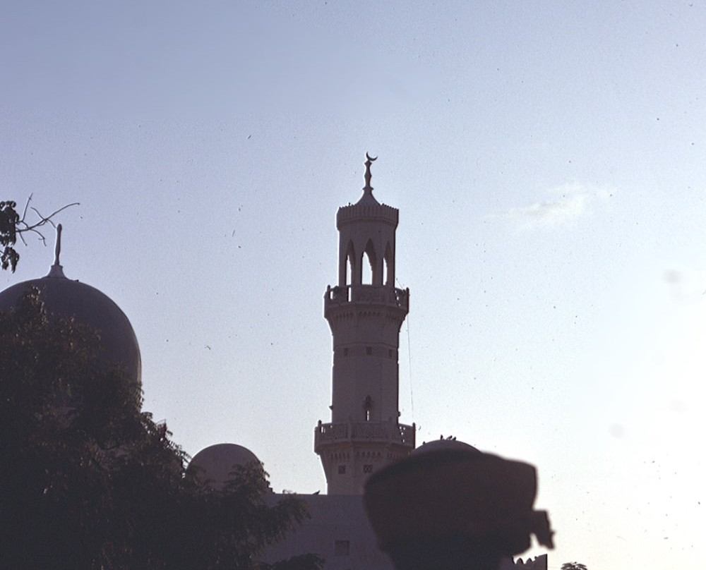 Central Mosque景点图片