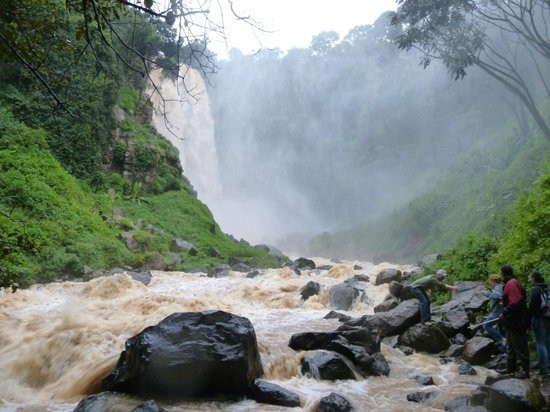 Thomson's Falls Lodge主图