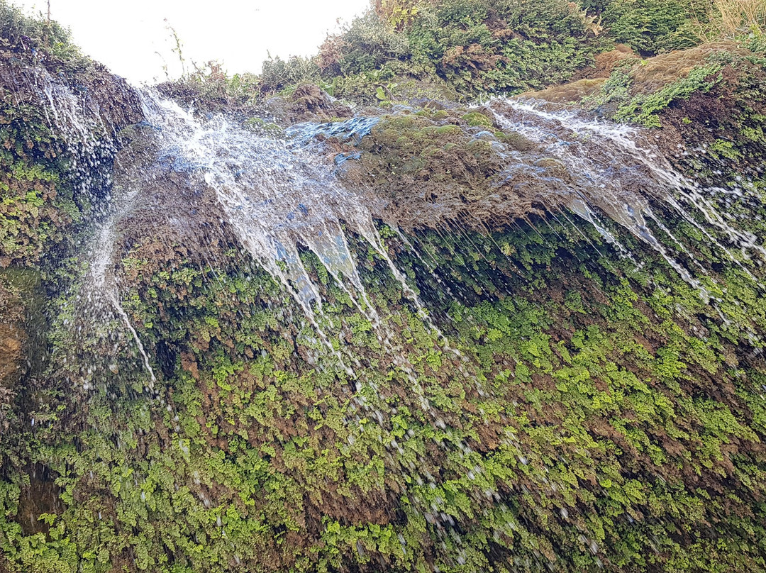 Asiab Kharabeh Waterfall景点图片