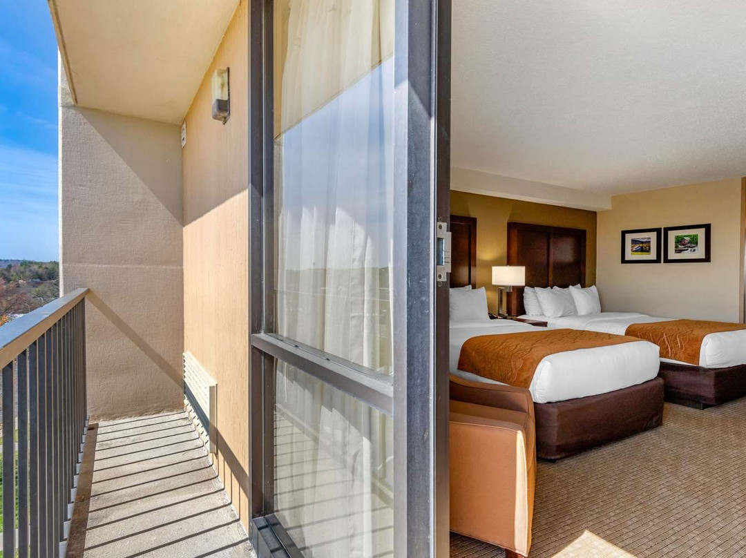 Comfort Inn & Suites主图