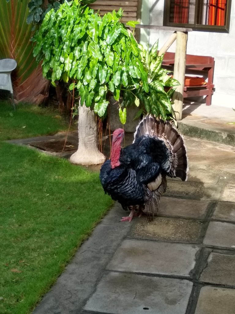 Wista's Inn Bed and Breakfast-官方