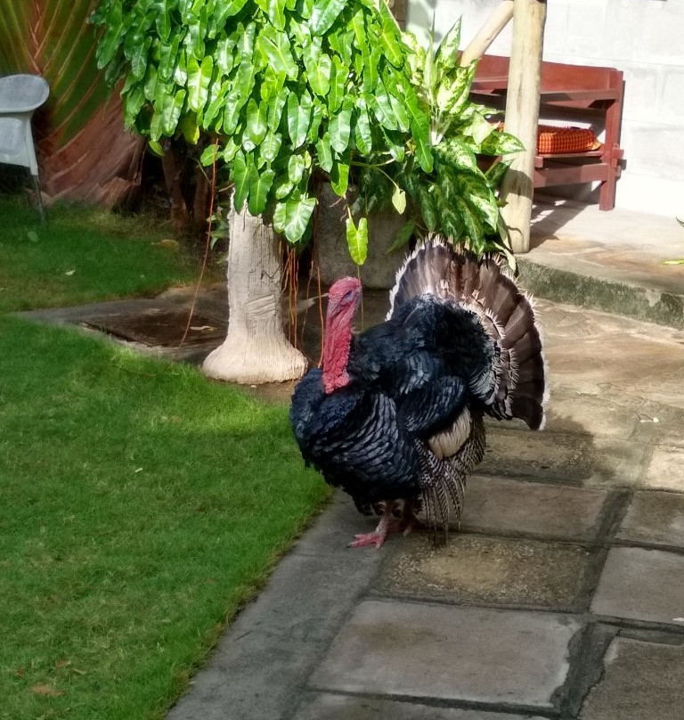 Wista's Inn Bed and Breakfast主图