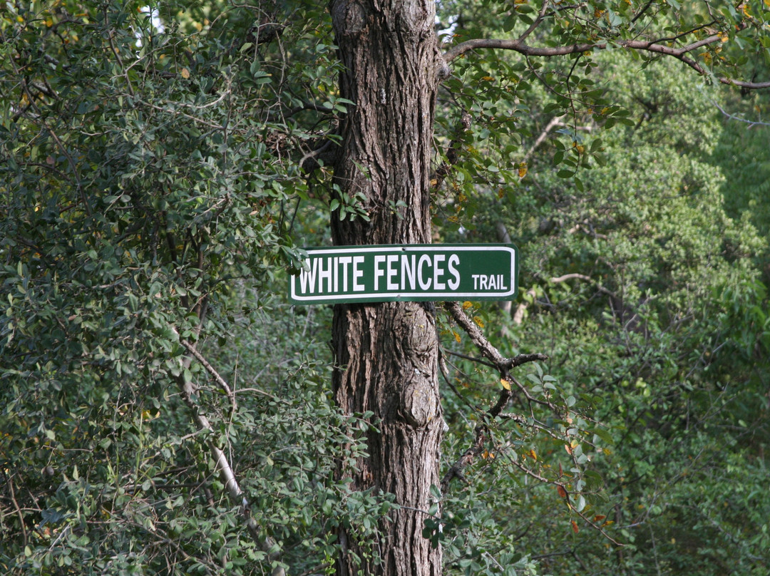 White Fences Equestrian Center景点图片