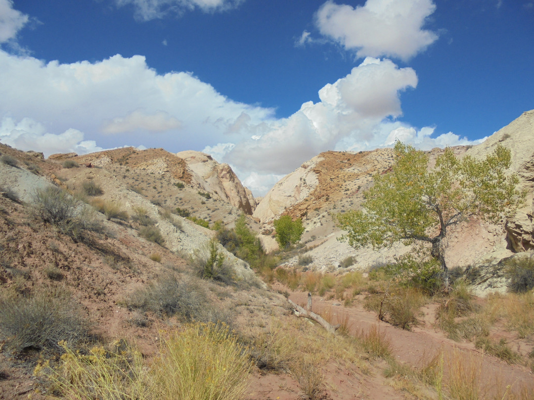 Ding and Dang Canyons-格林河必去景点