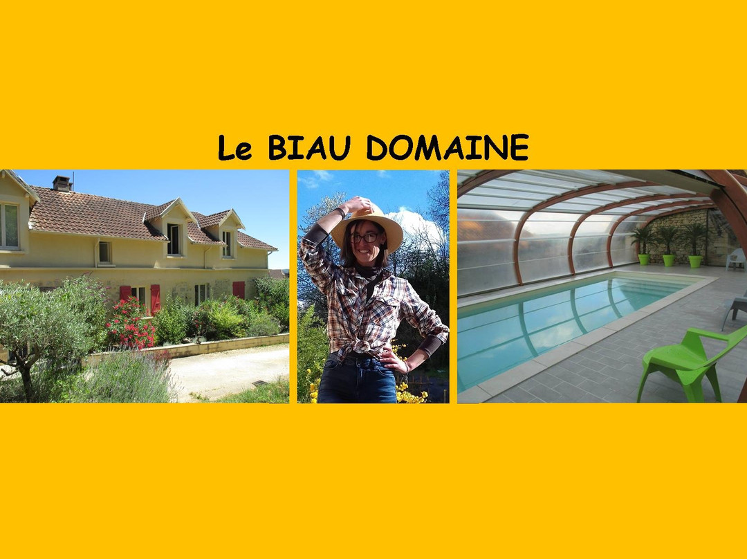 Le Biau Domaine主图