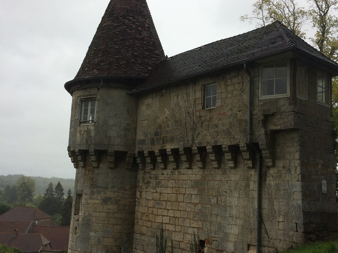 Chateau de Rupt-sur-Saone景点图片