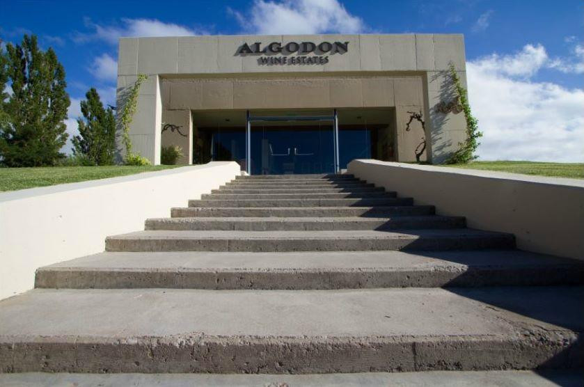 Algodon Winery-圣拉斐尔必去景点