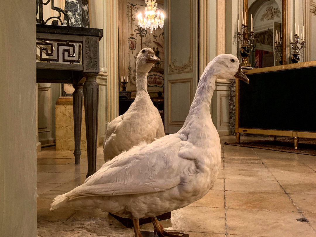 Hotel Château du Grand-Lucé主图