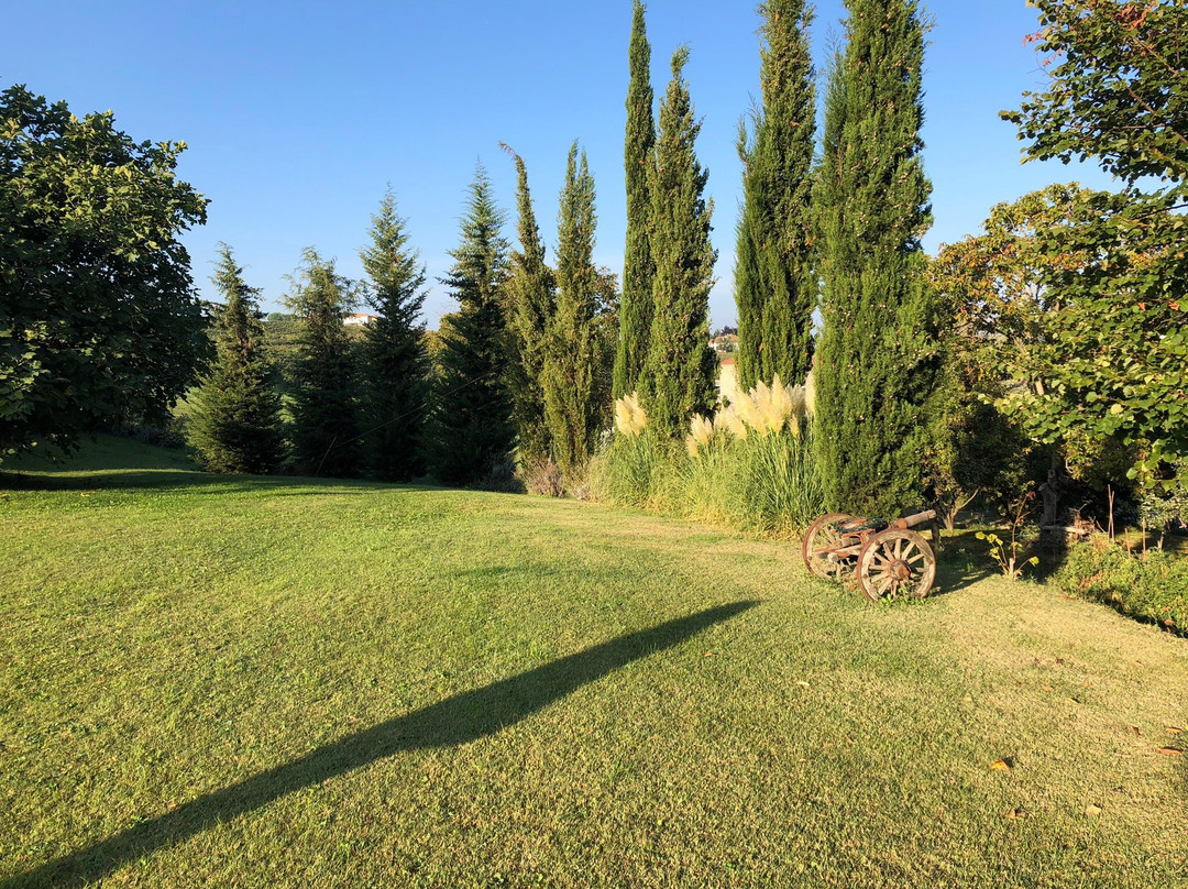 Bed and Breakfast Cascina Beccaris主图