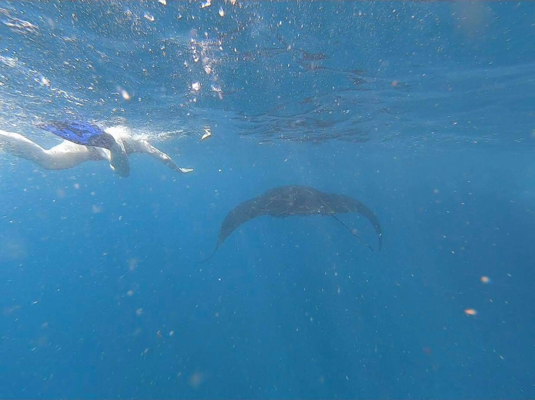 Island Time Bali-努沙切宁安岛必去景点