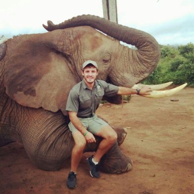 Bushwise Safari lodge Kruger Park-官方