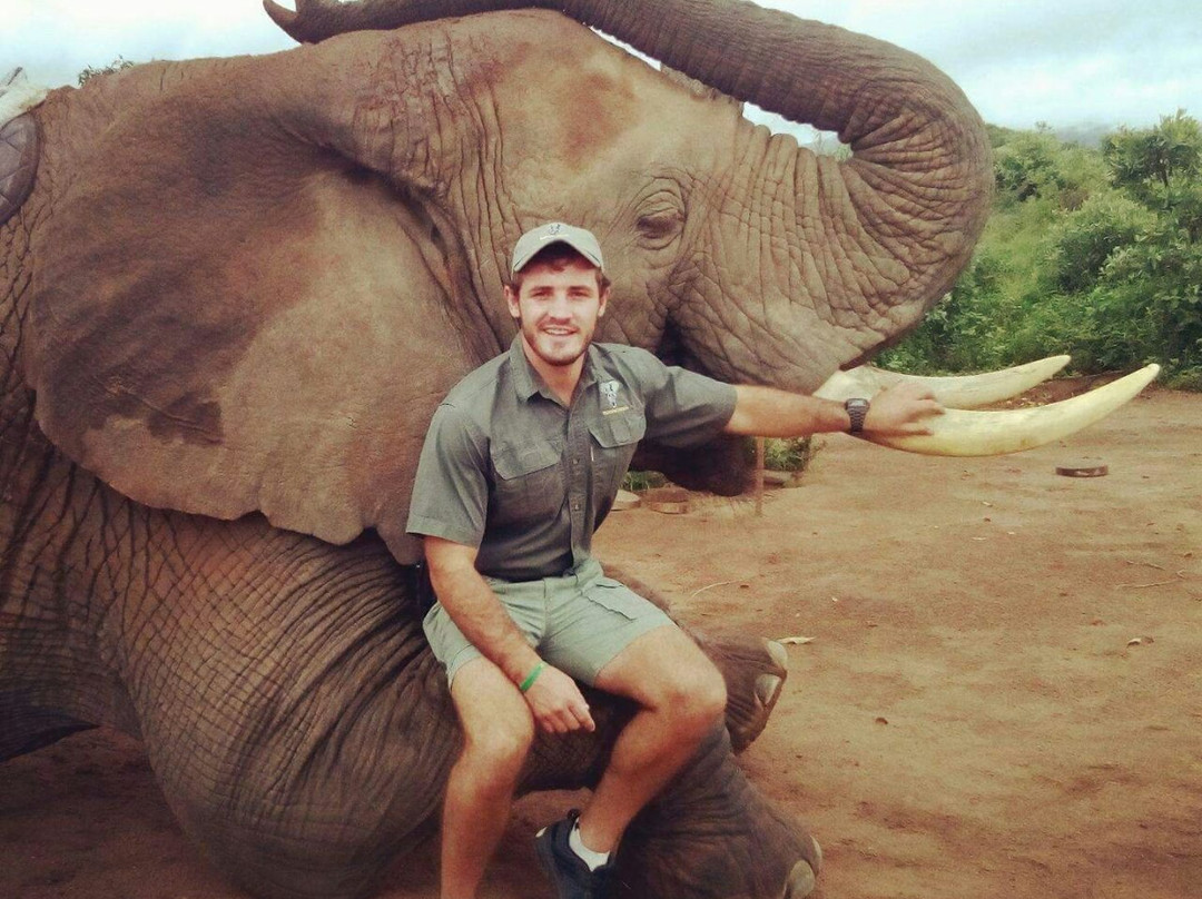 Bushwise Safari lodge Kruger Park主图