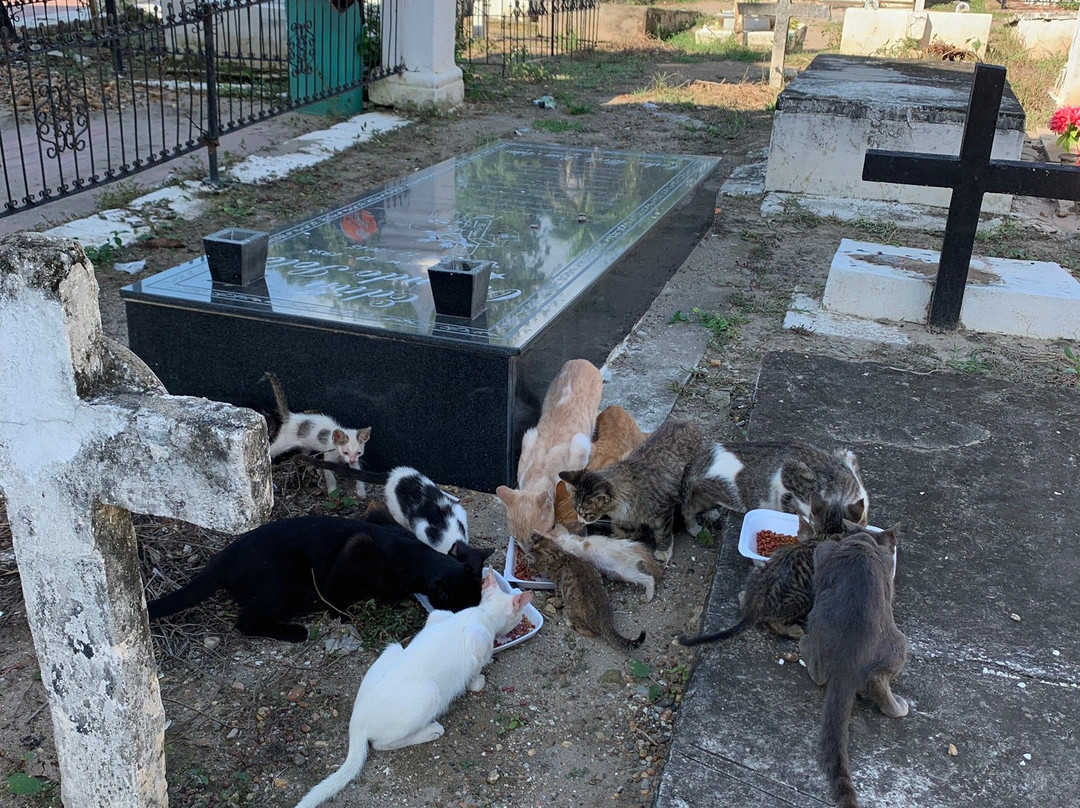 Cementerio de Mompox-蒙波斯必去景点