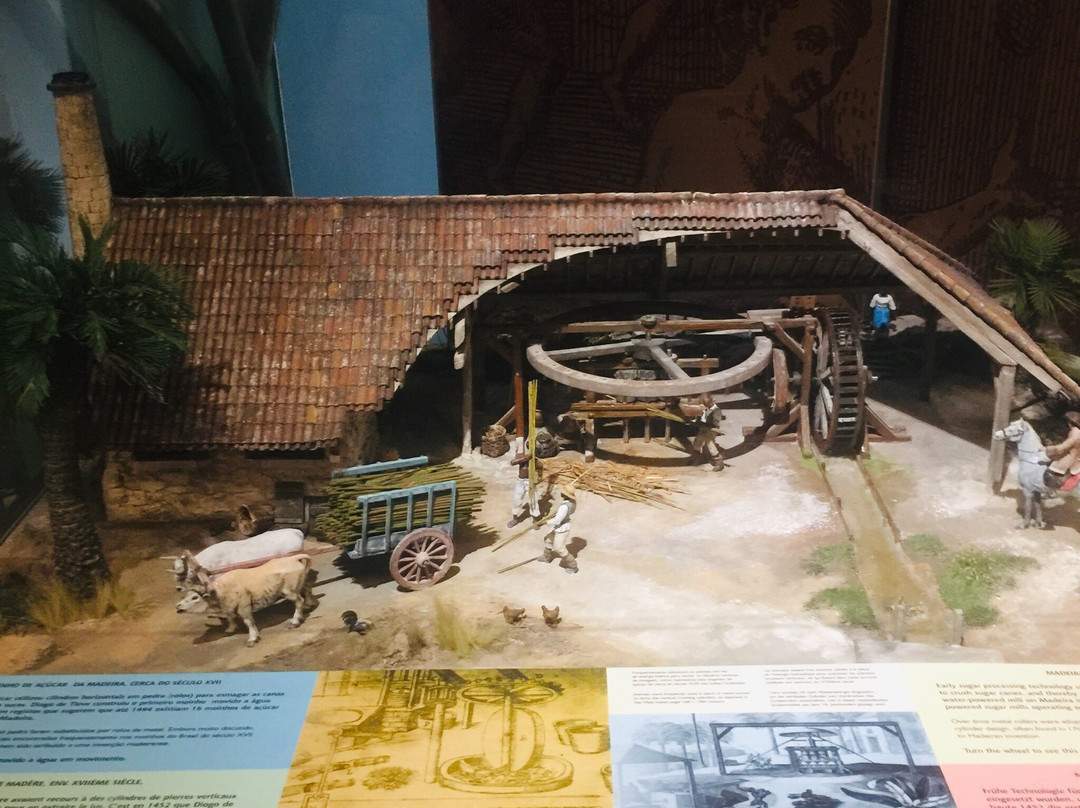 Madeira Story Centre-沙尔必去景点