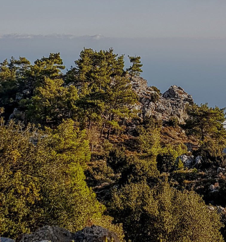 Althaea-Anatoli必去景点