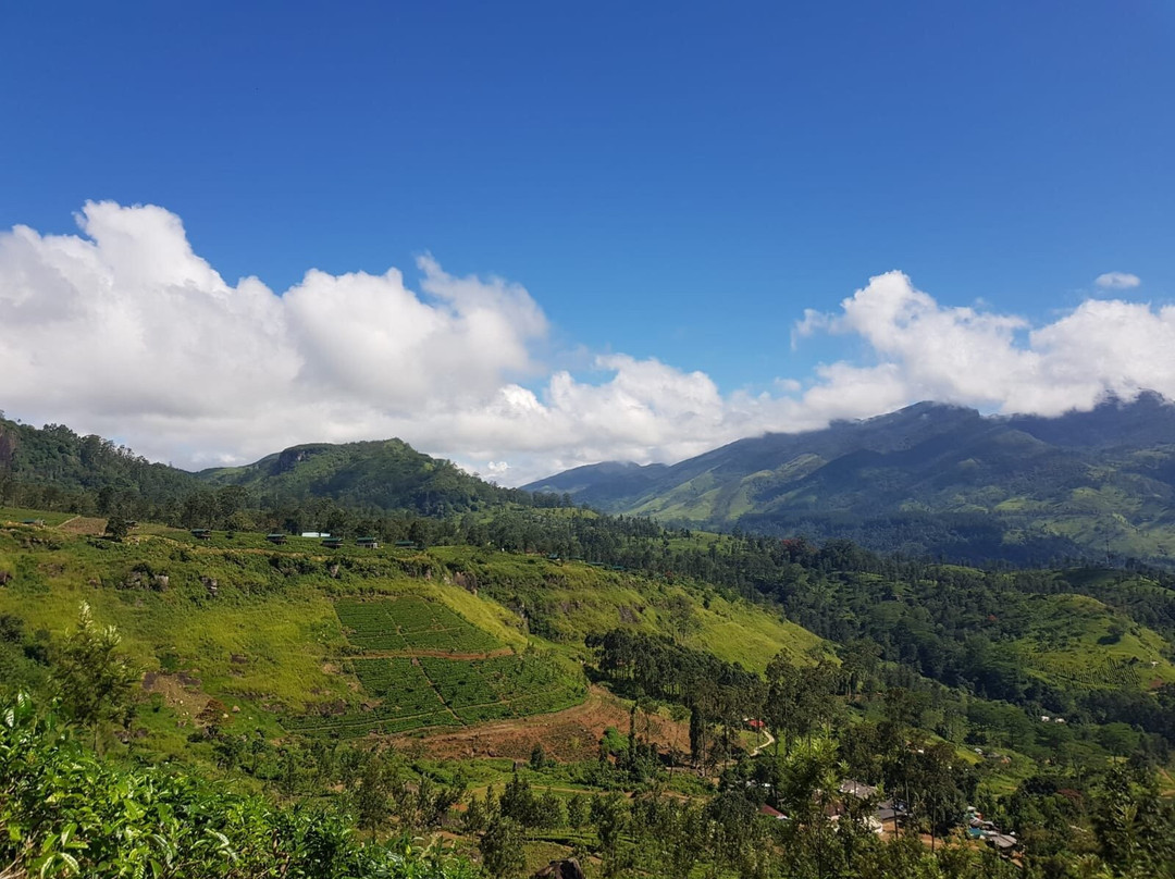 Panwila旅游攻略图片