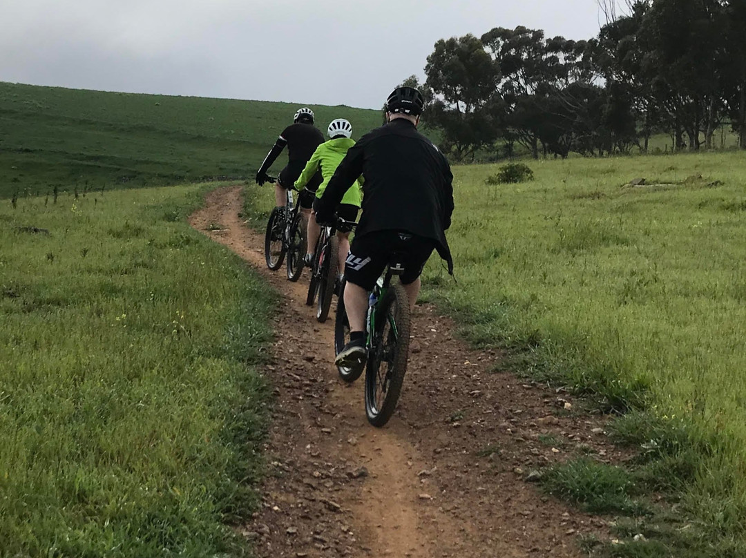 Tygerberg Nature Reserve-Parow必去景点