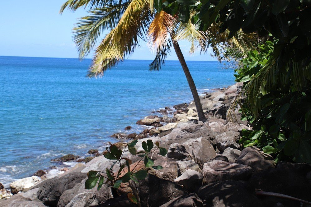 Anse Belleville-Le Precheur必去景点