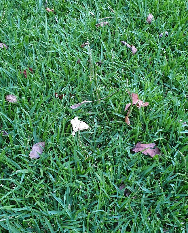 Quinta dos Carqueijais - Gerês主图