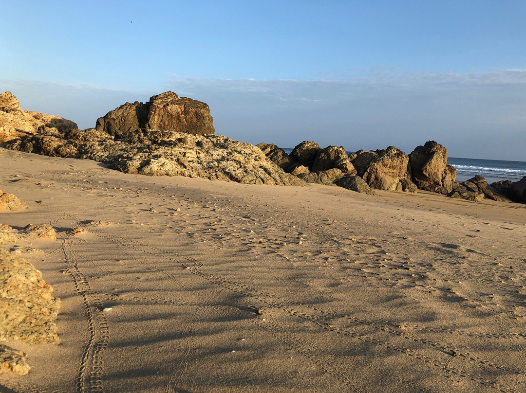 Playa Los Destiladeros景点图片