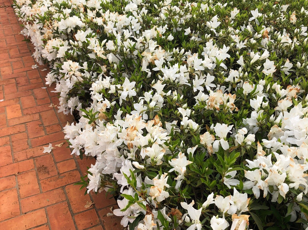 Parque Vila do Café景点图片